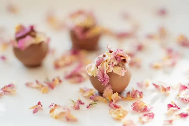 Crystal Kasino Android/iOS Sovellus