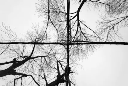 Crystal Kasino Mobiilisovellus